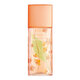 Elizabeth Arden Green Tea Nectarine Blossom Eau de Toilette - Tester