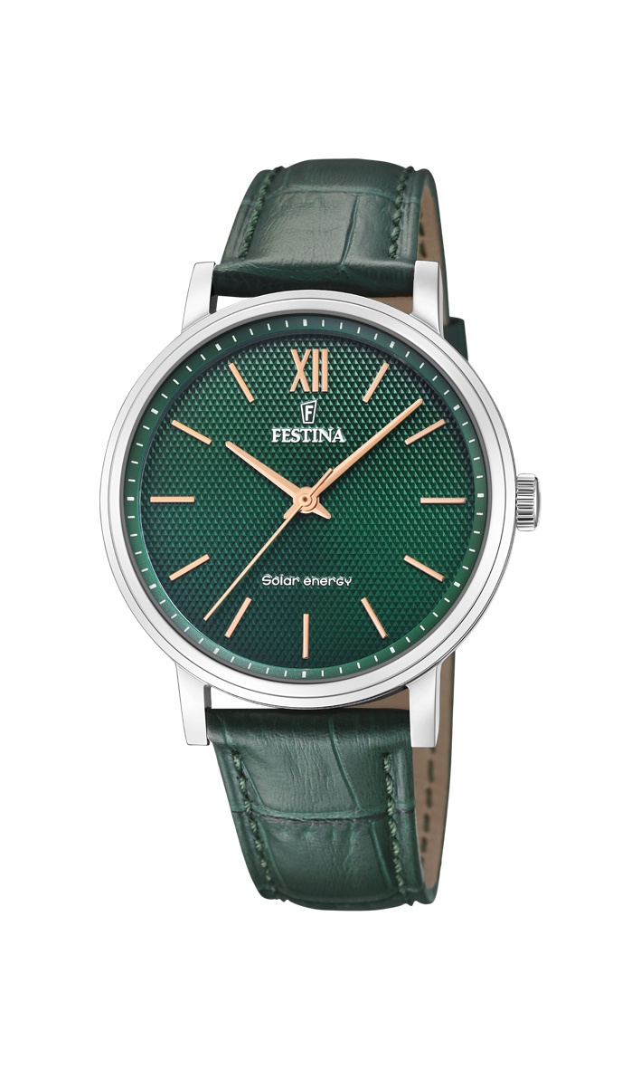 FESTINA 20660/5