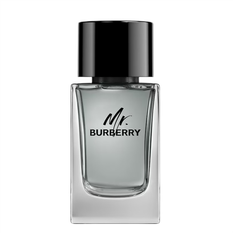 Burberry Mr. Burberry for Men Eau de toilette Eau de Toilette