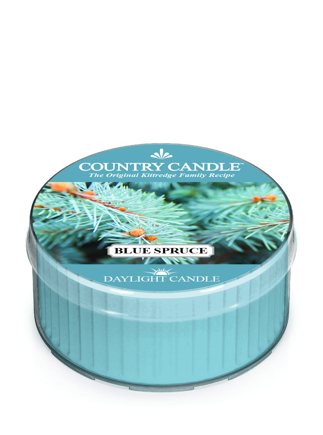 Country Candle Αρωματικό κερί Blue Spruce (42g)