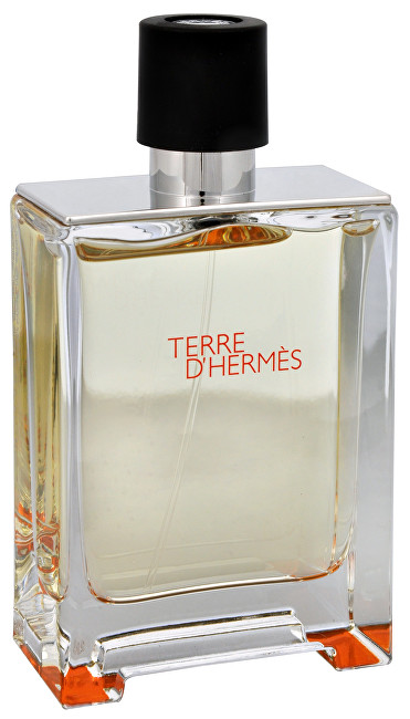 Hermes Terre D'Hermes Eau de Toilette - Tester